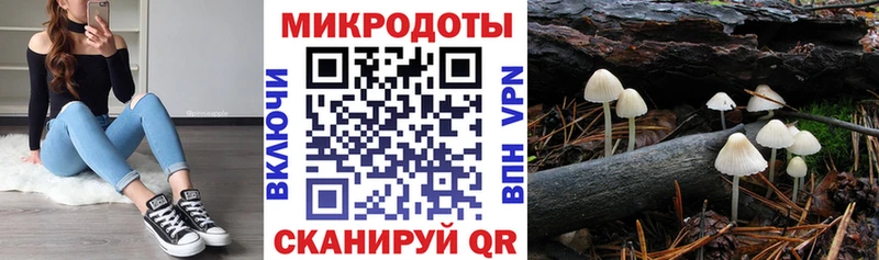 Псилоцибиновые грибы мицелий  Чёрмоз 